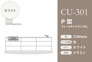 CU-301-MP2580R/WH