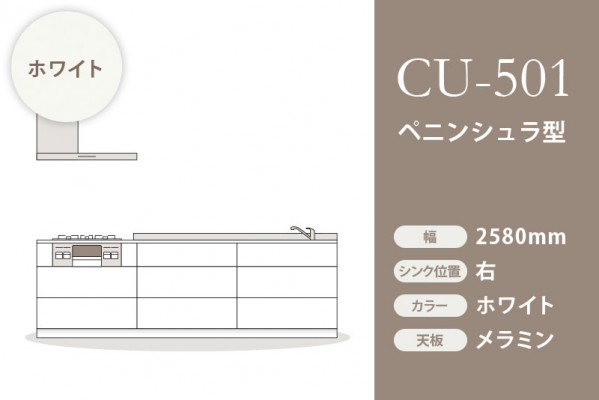 CU-501-MPas2580R/WH